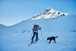 One skier, hiking with skis on in the back country, with a dog. Hiking towards a higher point. Le Meije. In the Massif des écrins range Ross Woodhall - Action & Lifestyle Photography