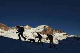 Silhouette of three people hiking up a slope on skis with a dog. Sunny snowy mountain in the background. Back country skiing. Le Meije. In the Massif des écrins range Ross Woodhall - Action & Lifestyle Photography