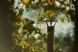 rustic metal flue chimney with smoke set amongst some bushes and trees in autumn time. Ross Woodhall - Action & Lifestyle Photography