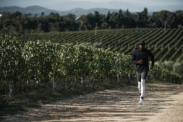 male runner, jogging along a vineyard. on a dirt track road. Ross Woodhall - Action & Lifestyle Photography