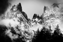 Jagged mountain peaks covered in snow with bare rock. Pine trees in the foreground. In black & white. Ross Woodhall - Action & Lifestyle Photography
