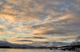  Ross Woodhall - Action & Lifestyle Photography