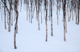  Ross Woodhall - Action & Lifestyle Photography