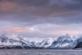  Ross Woodhall - Action & Lifestyle Photography