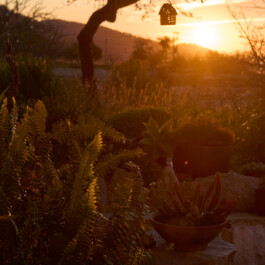  Ross Woodhall - Action & Lifestyle Photography