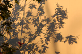  Ross Woodhall - Action & Lifestyle Photography