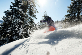 skier off piste between the trees. Ross Woodhall - Action & Lifestyle Photography