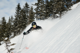 male skier off piste skiing through the trees. Ross Woodhall - Action & Lifestyle Photography