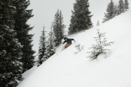 a single skier, off piste skiing through the trees. Ross Woodhall - Action & Lifestyle Photography