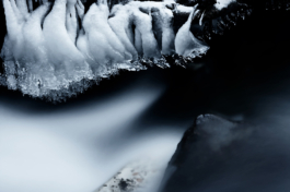 Image of frozen roots covered in ice and snow. Ross Woodhall - Action & Lifestyle Photography