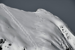 Backcountry skiers zig zagging there way up a mountain. 2 ski lines coming down. In black & white. Ross Woodhall - Action & Lifestyle Photography
