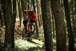  Ross Woodhall - Action & Lifestyle Photography