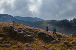 two hikers walking through rough grass and heather. In the hills. Ross Woodhall - Action & Lifestyle Photography